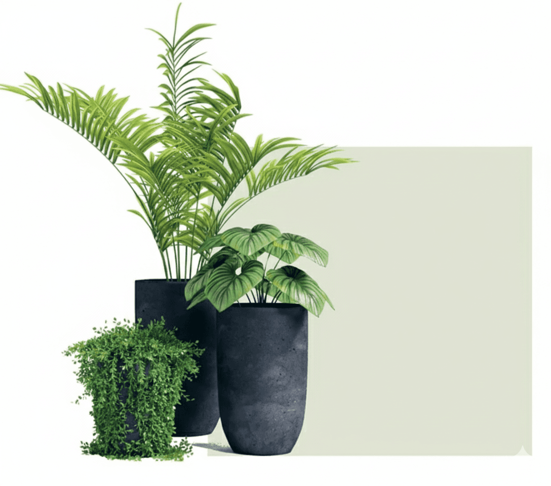 Various potted plants including palm and leafy plants arranged beautifully